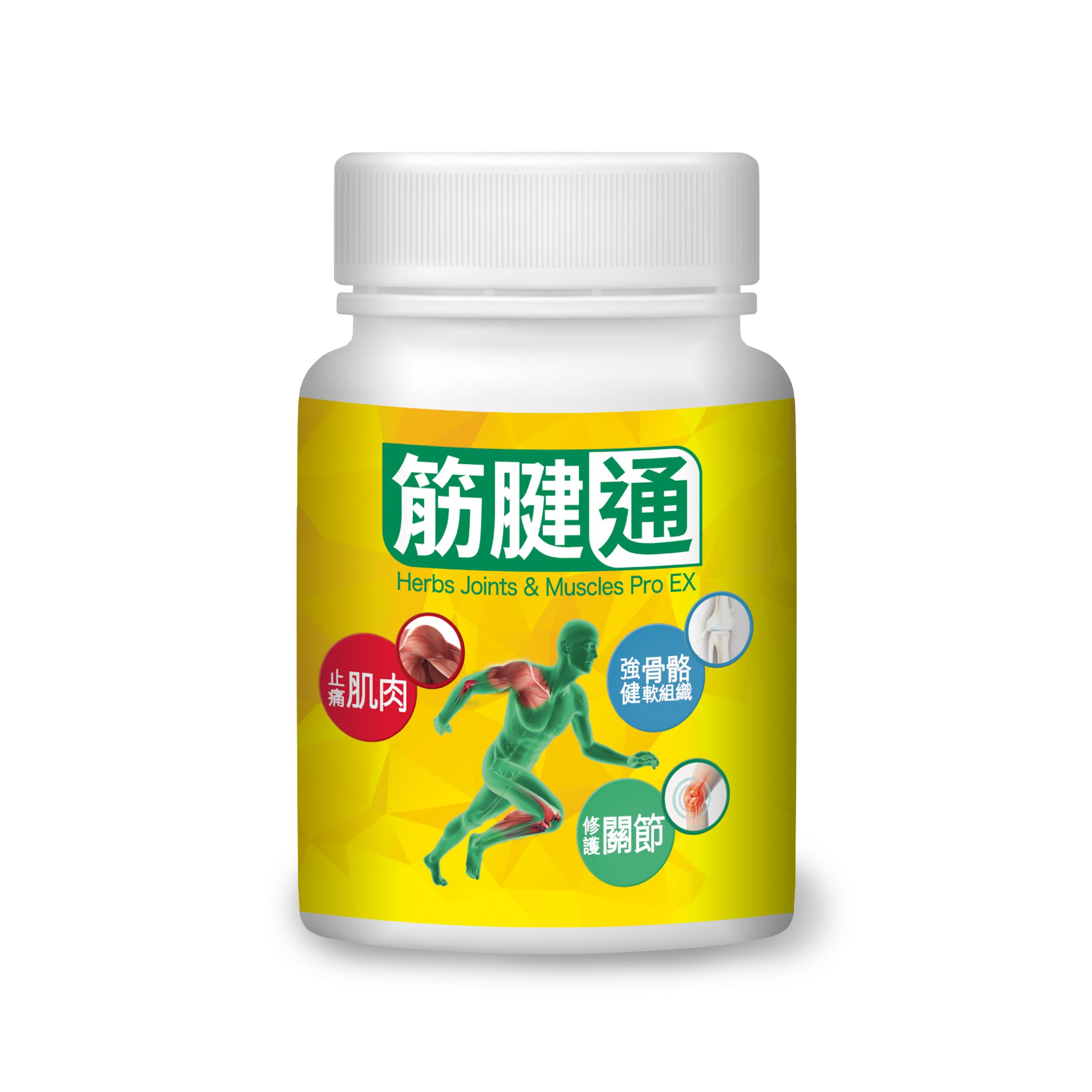 筋腱通