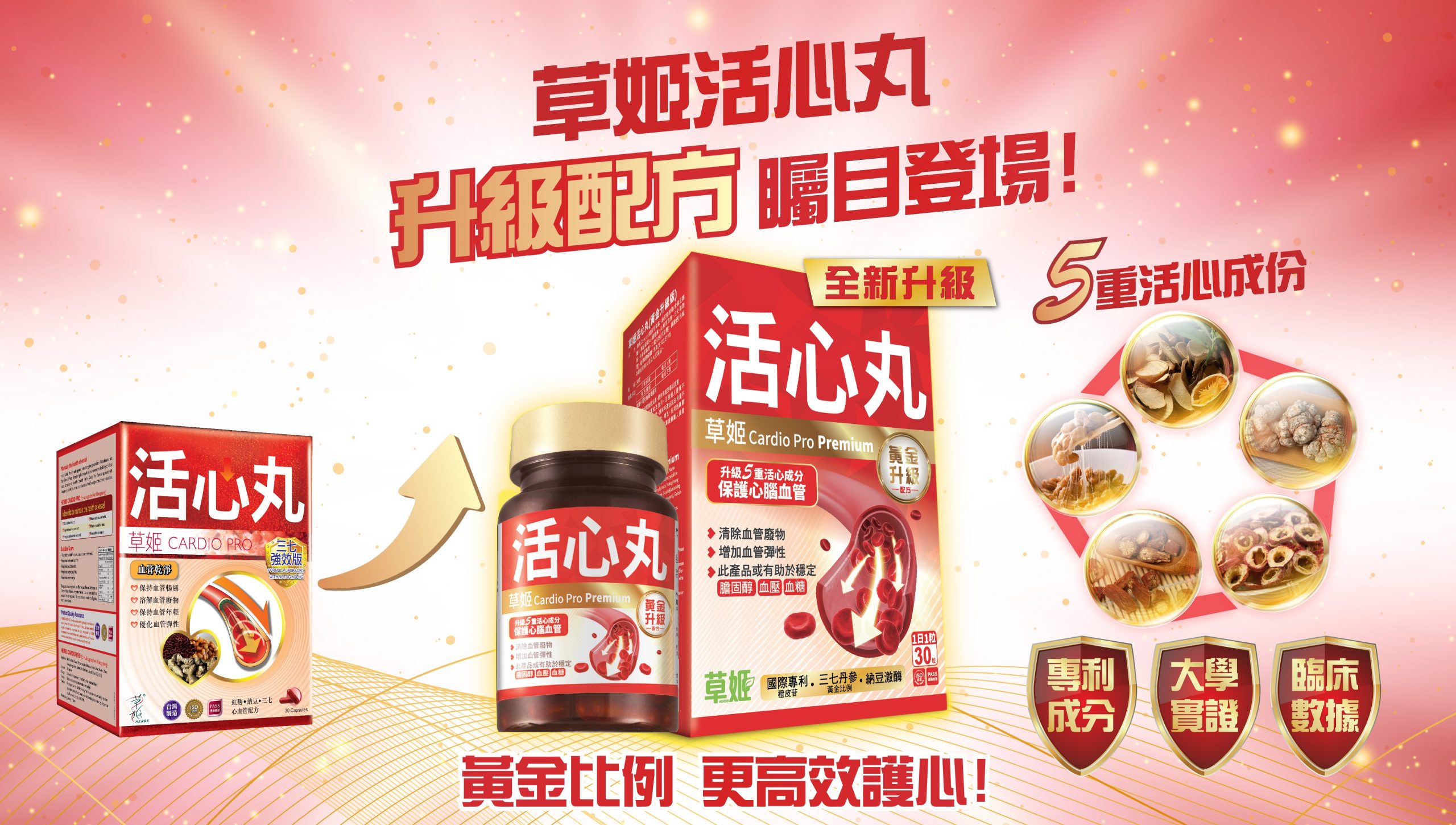 草姬活心丸(黃金升級版)