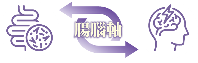 腸腦軸 (Gut-Brain axis) 